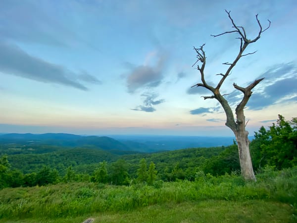 Happenings: A Special Travel Issue Events Calendar Beyond Roanoke. Week of 6/19 to 6/26.