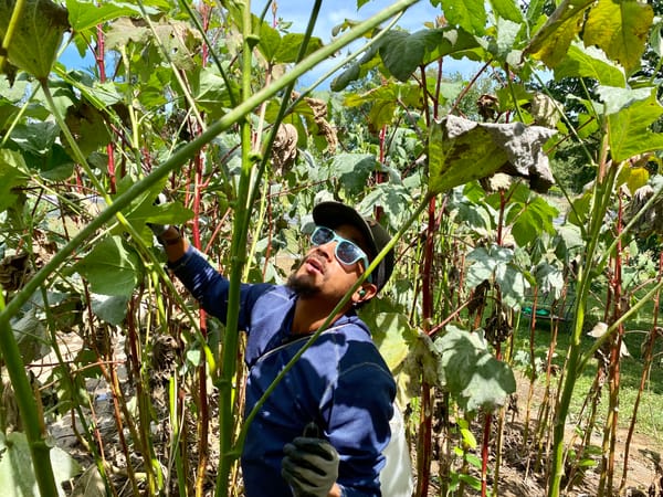 One of Roanoke's Few Urban Farms Clinches a Deal To Protect Its Land