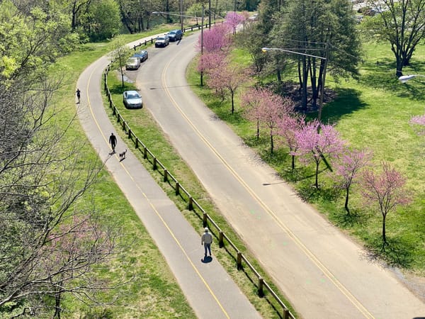 Roanoke Valley Greenway Coordinator Resigns, Saying He Felt Stymied by Governments