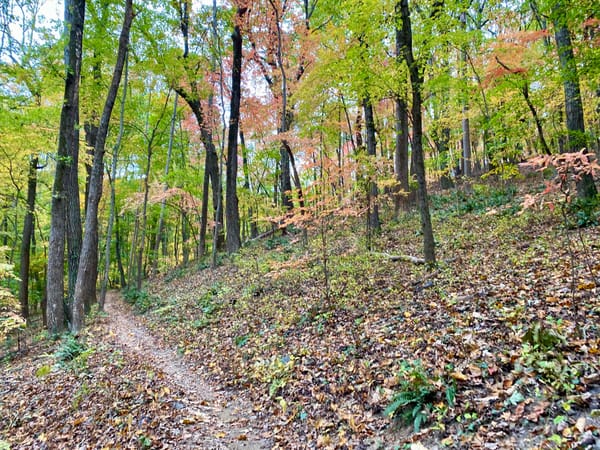 Mill Mountain Trails To Expand Significantly with First Professional Build, Plans Show